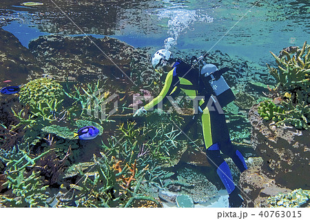 ダイバー 40763015