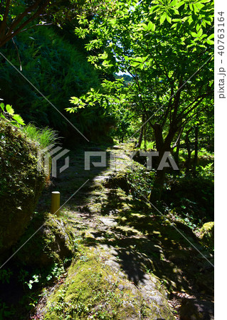 熊野古道　大吹峠　伊勢路 40763164