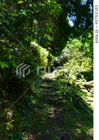 熊野古道　大吹峠　伊勢路 40763165