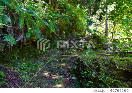 熊野古道　大吹峠　伊勢路 40763166