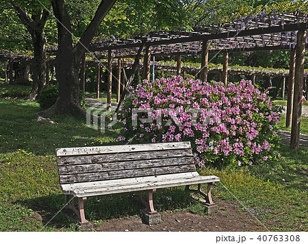 公園のベンチ 40763308