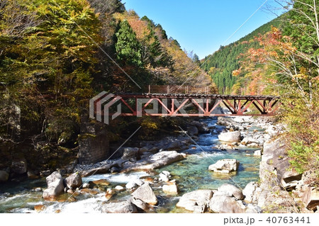 秋を迎えた阿寺渓谷と森林鉄道跡の鉄橋 40763441