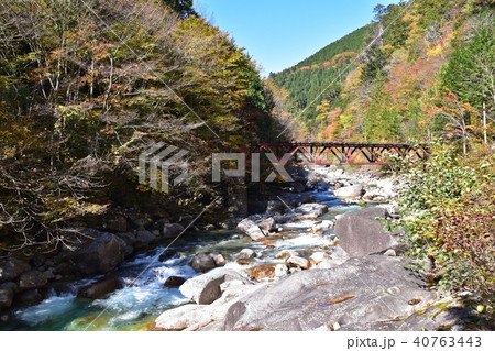 秋を迎えた阿寺渓谷と森林鉄道跡の鉄橋 秋を迎えた阿寺渓谷と森林鉄道跡の鉄橋 40763443