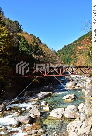 秋を迎えた阿寺渓谷と森林鉄道跡の鉄橋 40763446