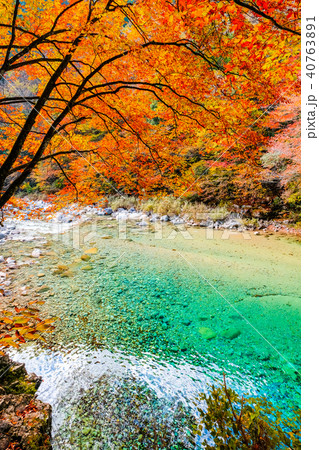 阿寺渓谷（１１月） 40763891