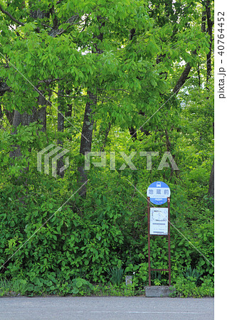 森のバス停 となりのトトロのイメージの写真素材