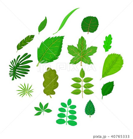 Green leafs icons set, cartoon style Green leafs icons set, cartoon style 40765333