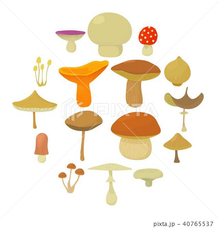 Mushroom types icons set, cartoon style 40765537