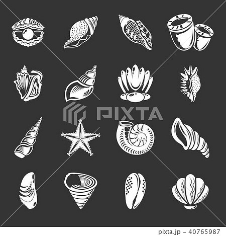Tropical Sea Shell Icons Set Grey Vectorのイラスト素材