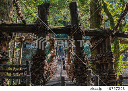 祖谷のかずら橋 40767298