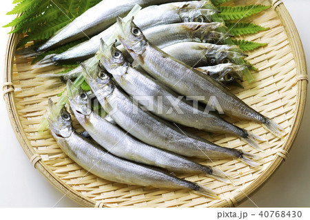 子持ちししゃも15 40768430