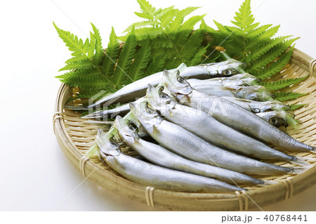 子持ちししゃも22 子持ちししゃも22 40768441