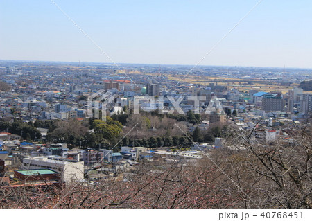 足利織姫神社から見る足利の街並み 40768451