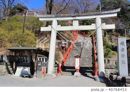 足利織姫神社・鳥居と石段 足利織姫神社・鳥居と石段 40768453