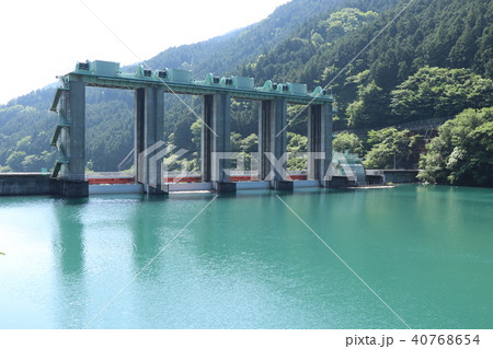 新緑の面河第三ダム 40768654
