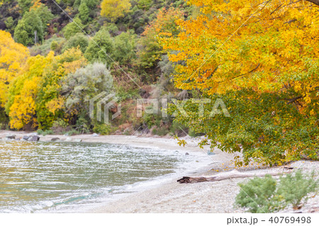 Lake Wakatipu in New Zealand. 40769498