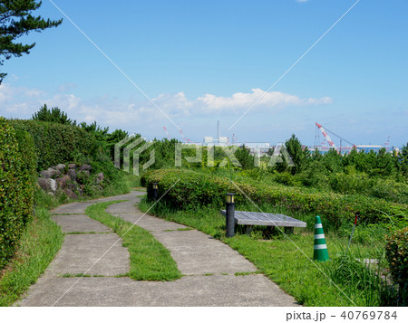 国営ひたち海浜公園 国営ひたち海浜公園 40769784
