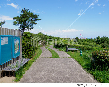 国営ひたち海浜公園 国営ひたち海浜公園 40769786