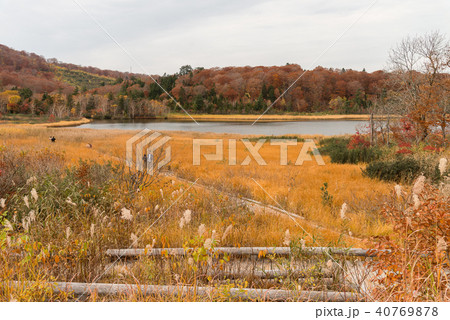 Onuma pond in beautiful autumn season. Onuma pond in beautiful autumn season. 40769878