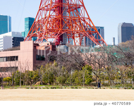 東京タワー 40770589