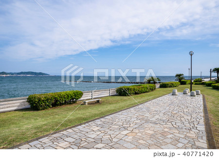 鎌倉海浜公園の風景 40771420