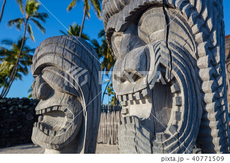 Tiki Tiki 40771509