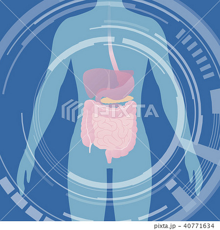 人のシルエットと臓器 医療インターフェースのイラスト素材