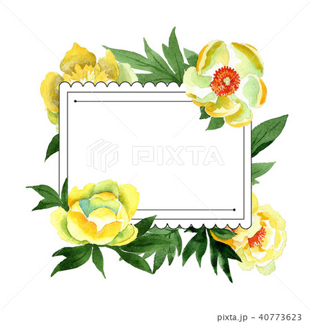Yellow Peony. Floral botanical flower. Frame border ornament square. 40773623