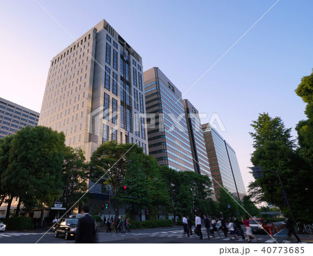日本の東京都市景観　霞が関の官庁街などを望む　 40773685