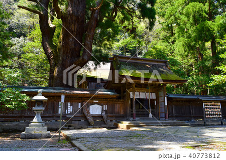 若狭姫神社 若狭姫神社 40773812