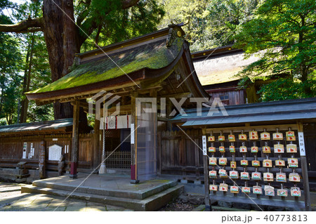 若狭姫神社 40773813