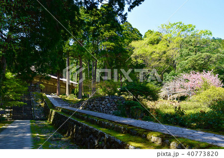 明通寺 本堂 明通寺 本堂 40773820
