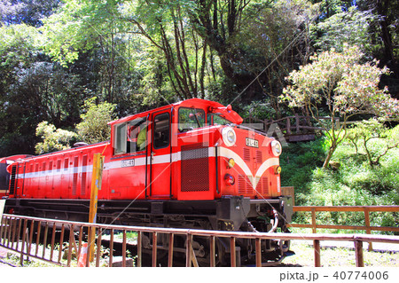 阿里山の森林鉄道 Alishan Forest Railway 40774006