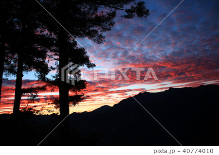 阿里山の日の出 ご来光 台湾 Dramatic sunrise of Alishan Taiwan 40774010