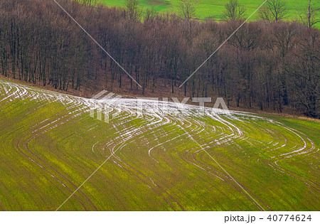 Field in winter 40774624