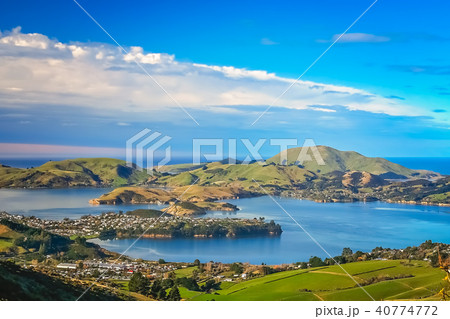 Dunedin town and bay as seen from the hills above 40774772