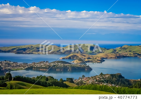 Dunedin town and bay as seen from the hills above Dunedin town and bay as seen from the hills above 40774773