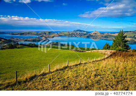 Grassland, pasteurs and meadows above Dunedin Grassland, pasteurs and meadows above Dunedin 40774774