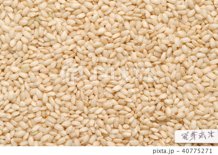 発芽玄米 40775271