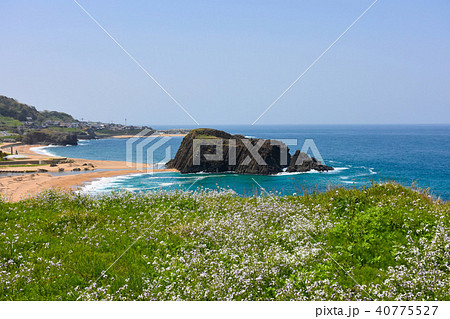 立岩　大成古墳群　丹後半島 40775527