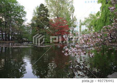 日本 ジャパン 日本国 40776441