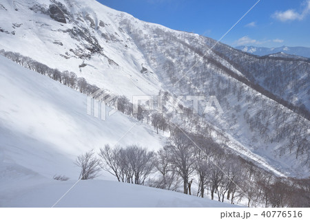 雪の白毛門 白毛門山南側雪の斜面 雪の白毛門 白毛門山南側雪の斜面 40776516