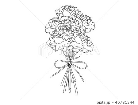 ベクター素材 カーネーション のイラスト素材