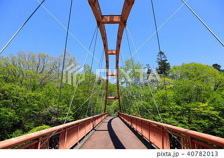 千鳥橋・滝の上公園 40782013