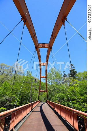 千鳥橋・滝の上公園 40782014