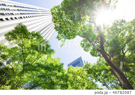 緑の多いオフィス街の風景 40782087