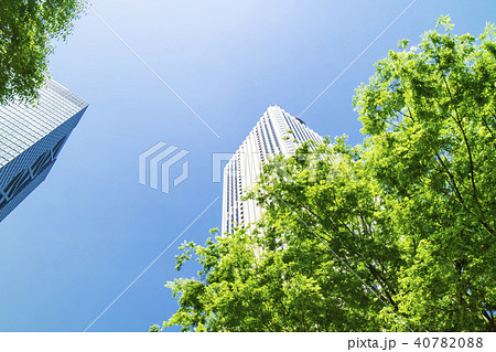 緑のあるオフィス街の風景 緑のあるオフィス街の風景 40782088