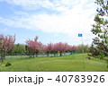 丘珠空港緑地パークゴルフ場 40783926