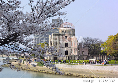 桜と原爆ドーム 40784337