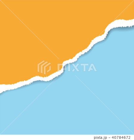 Ripped paper. Vector of ripped paper. the paper 40784672